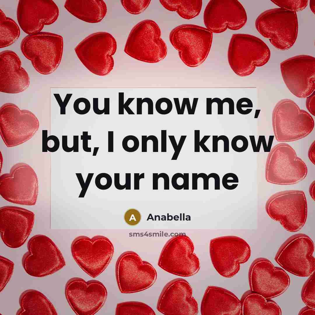 “You know me, but, I only know your name…” quote by Anabella