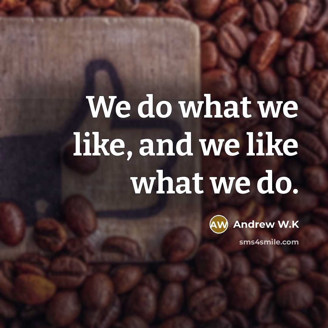 “We do what we like, and we like what we do.” quote by Andrew W.K