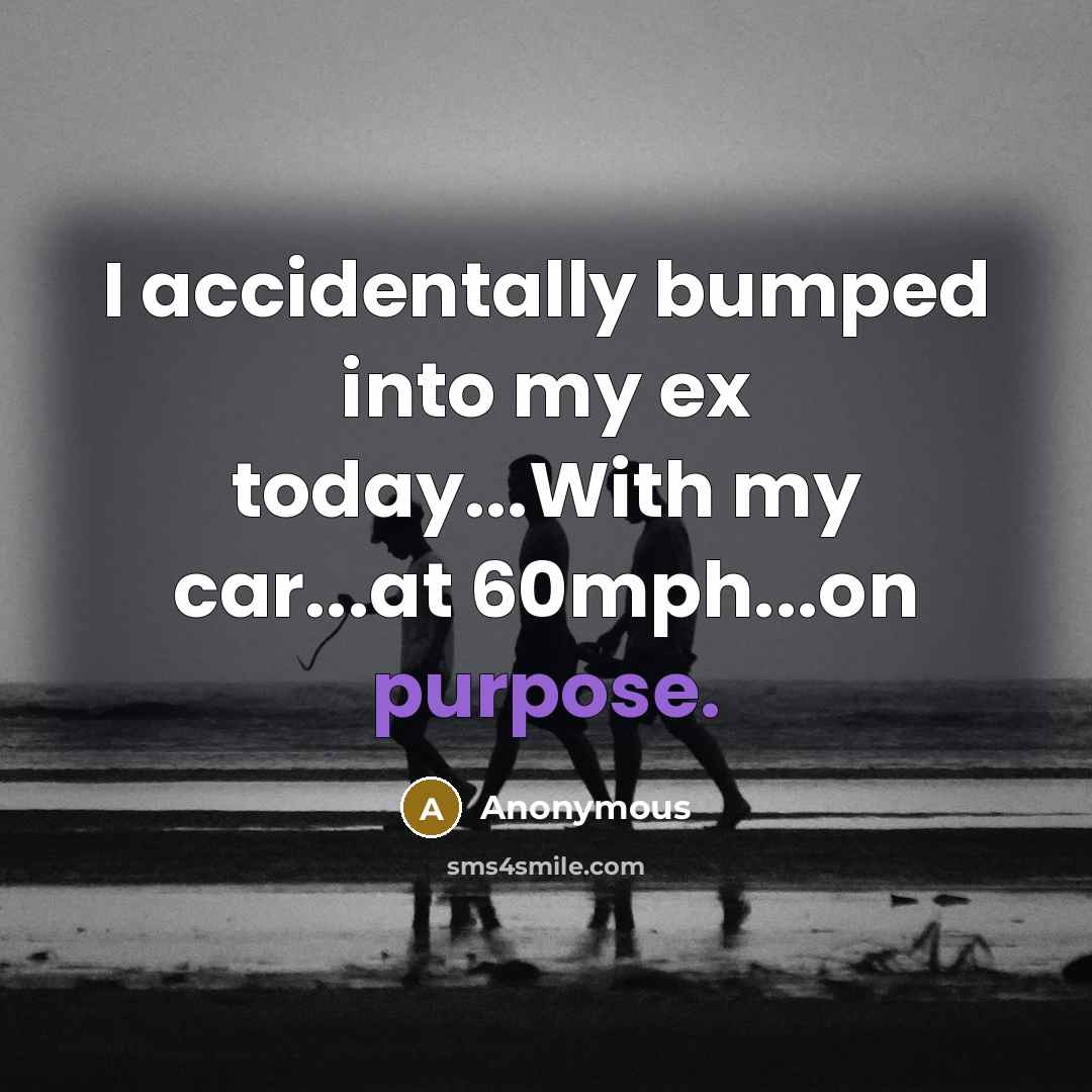 “I accidentally bumped into my ex today...With my car...at 60mph...on purpose.” quote by Anonymous
