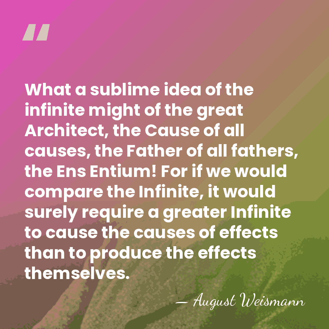 What a sublime idea of the infinite might of the great Architect,&hellip; - August Weismann