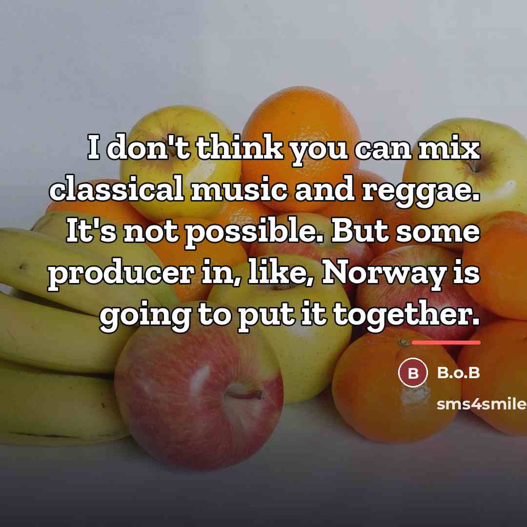 “I don't think you can mix classical music and reggae.…” quote by B.o.B