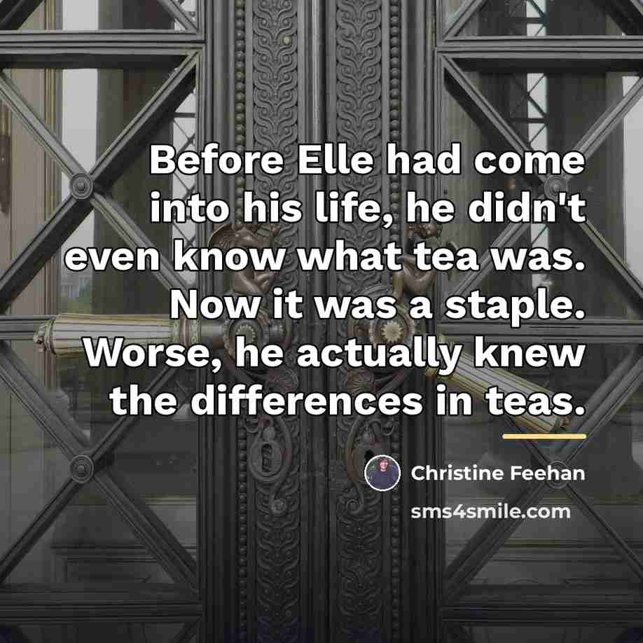 “Before Elle had come into his life, he didn't even…” quote by Christine Feehan