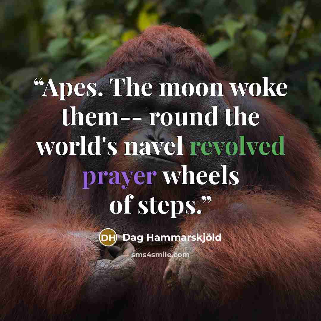 “Apes. The moon woke them-- round the world's navel revolved prayer wheels of steps.” quote by Dag Hammarskjöld