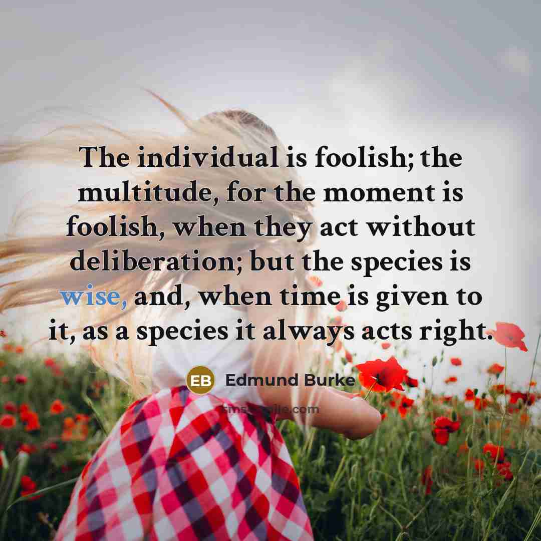 “The individual is foolish; the multitude, for the moment is…” quote by Edmund Burke