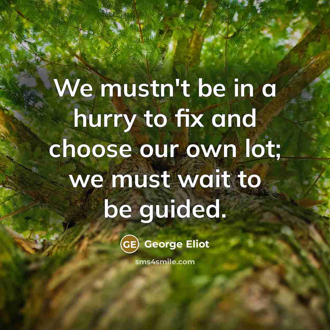 “We mustn't be in a hurry to fix and choose…” quote by George Eliot