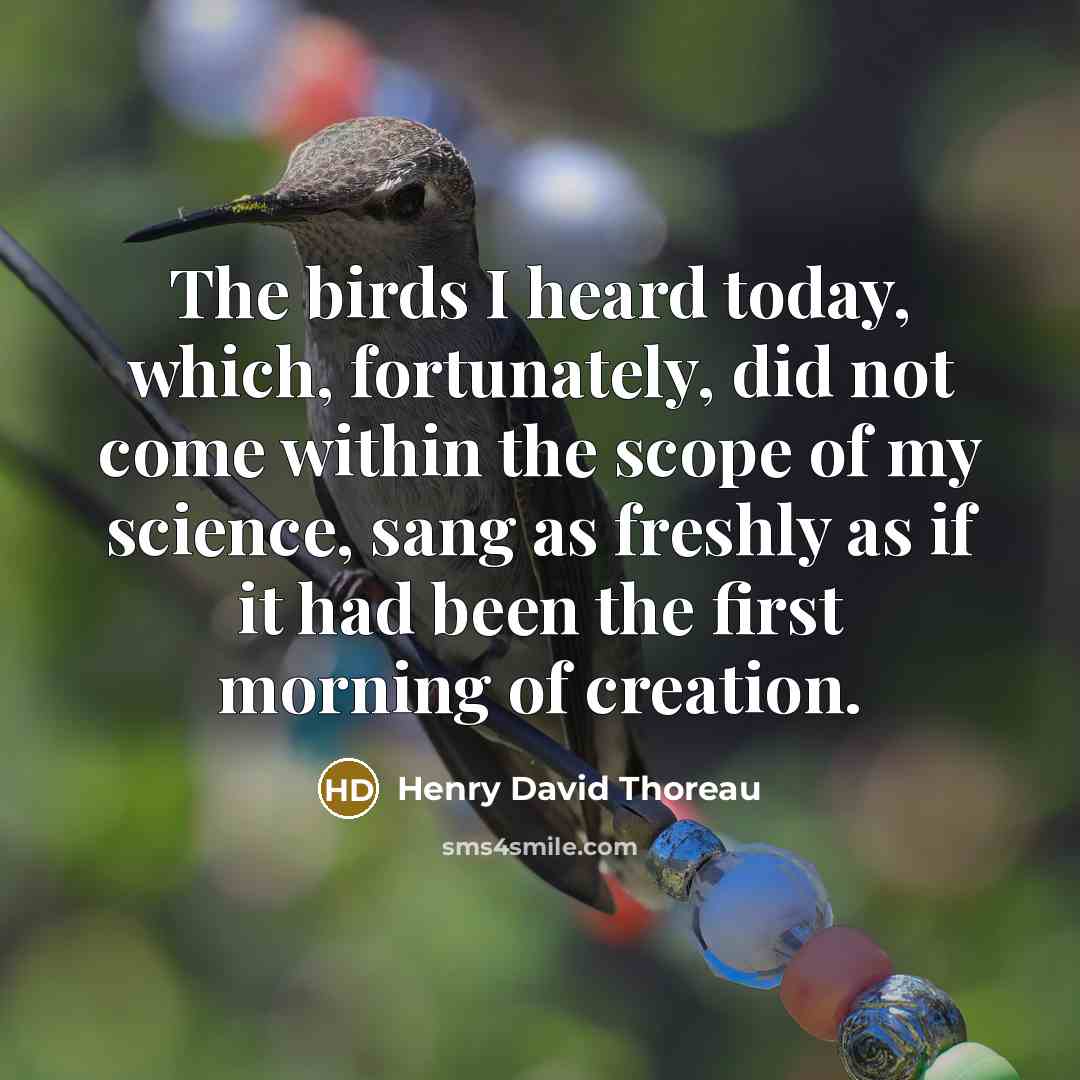 “The birds I heard today, which, fortunately, did not come…” quote by Henry David Thoreau