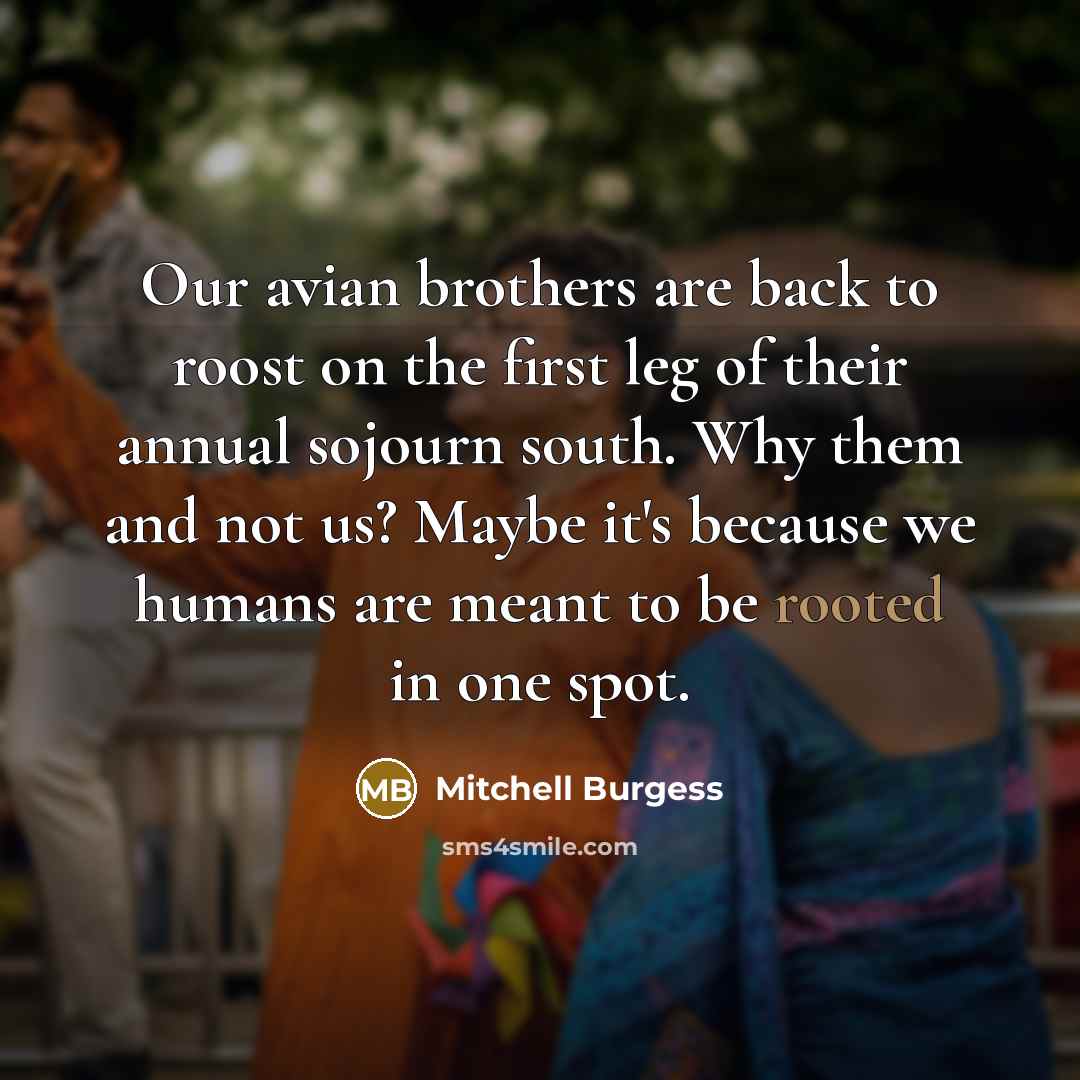 “Our avian brothers are back to roost on the first…” quote by Mitchell Burgess