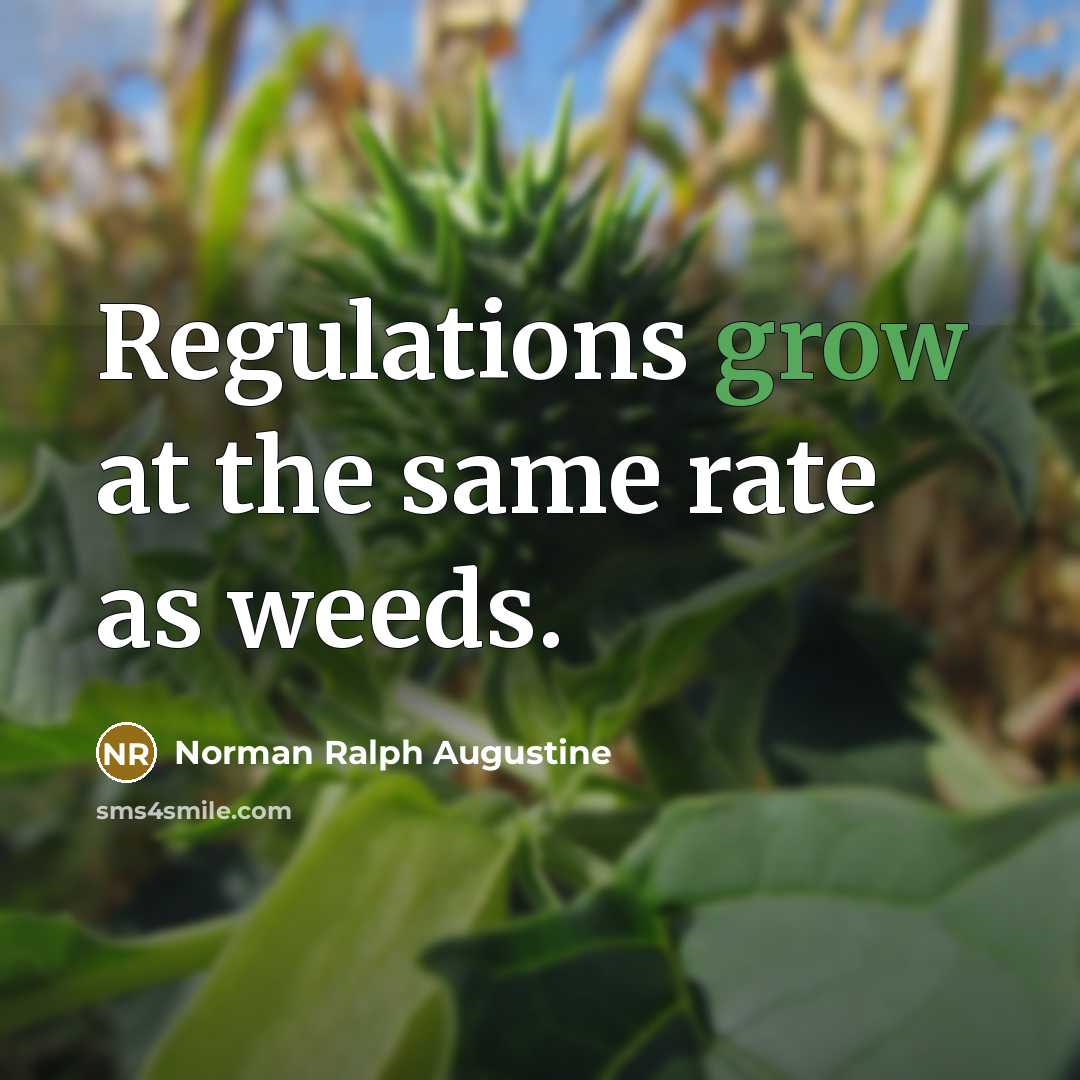 “Regulations grow at the same rate as weeds.” quote by Norman Ralph Augustine