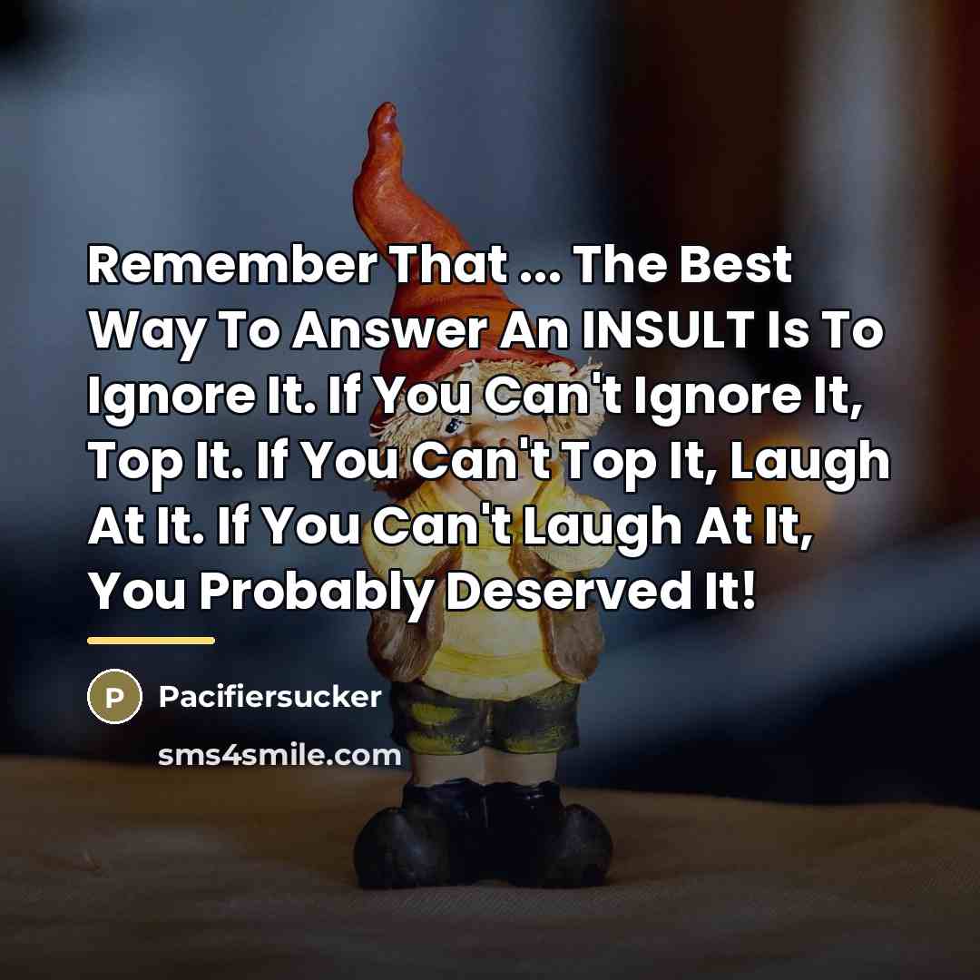 “Remember That ... The Best Way To Answer An INSULT…” quote by Pacifiersucker