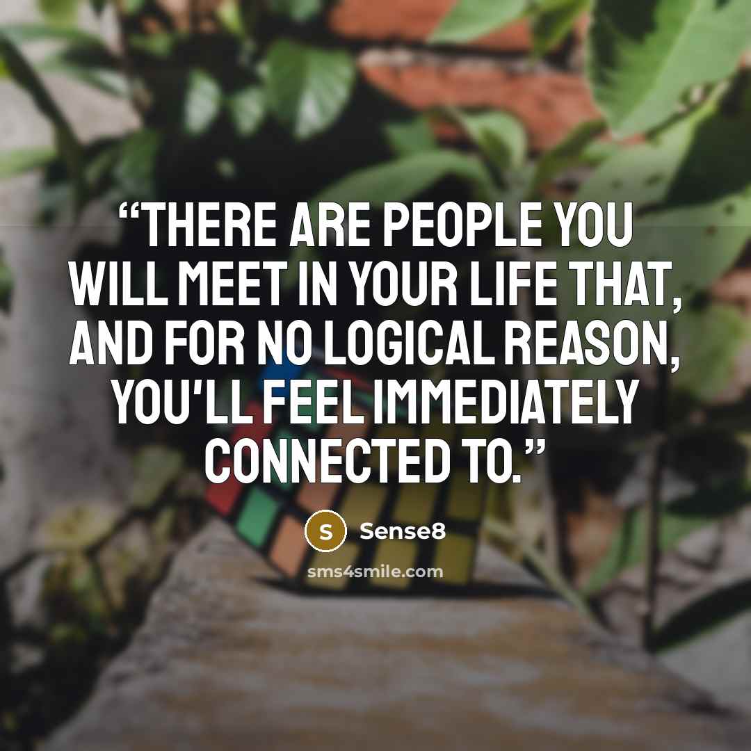 “There are people you will meet in your life that, and for no logical reason, you'll feel immediately connected to.” quote by Sense8