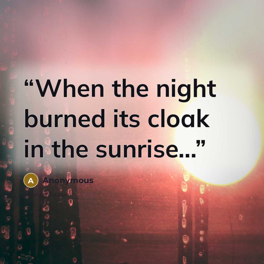 “When the night burned its cloak in the sunrise...” quote by Anonymous