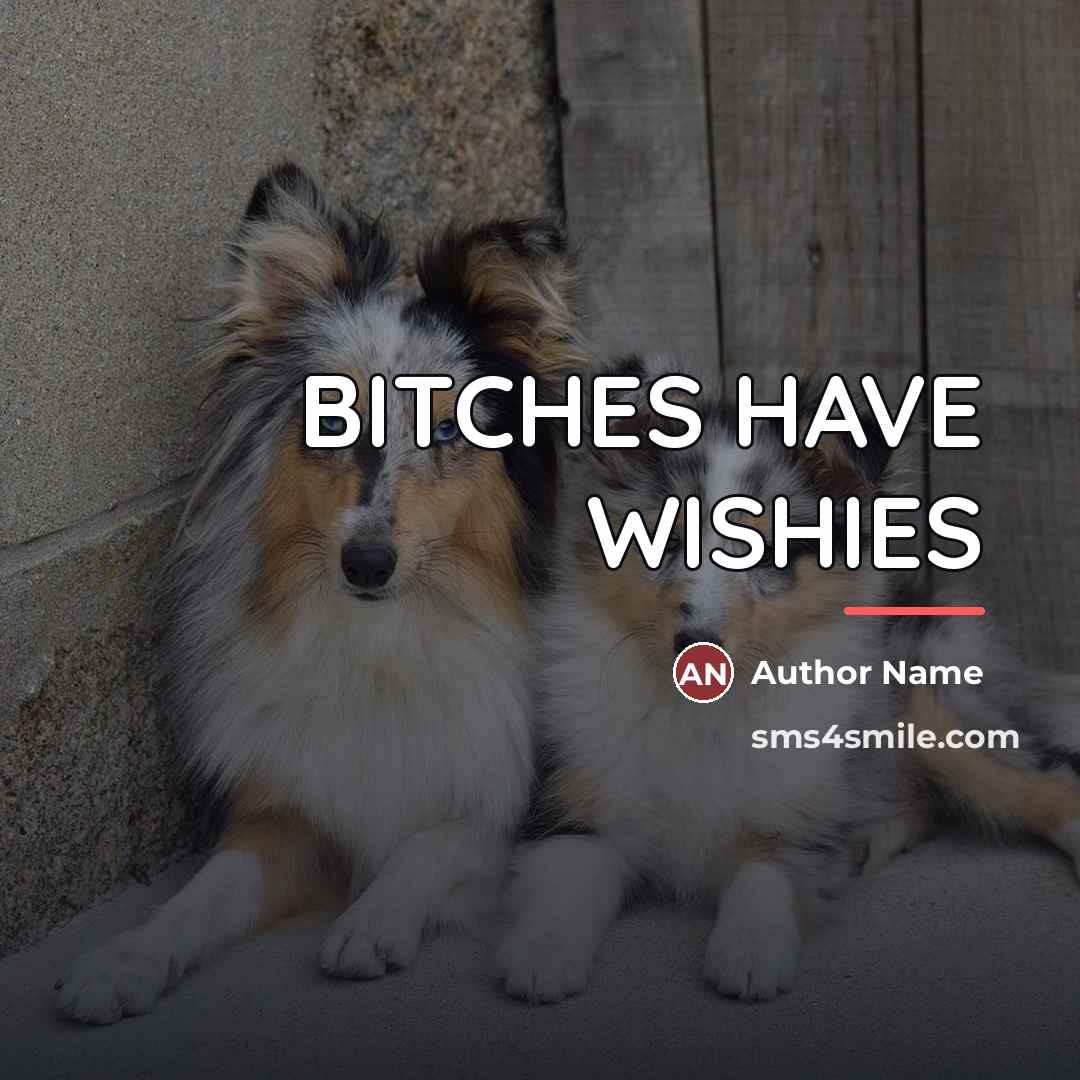 “BITCHES HAVE WISHIES…” quote by Author Name
