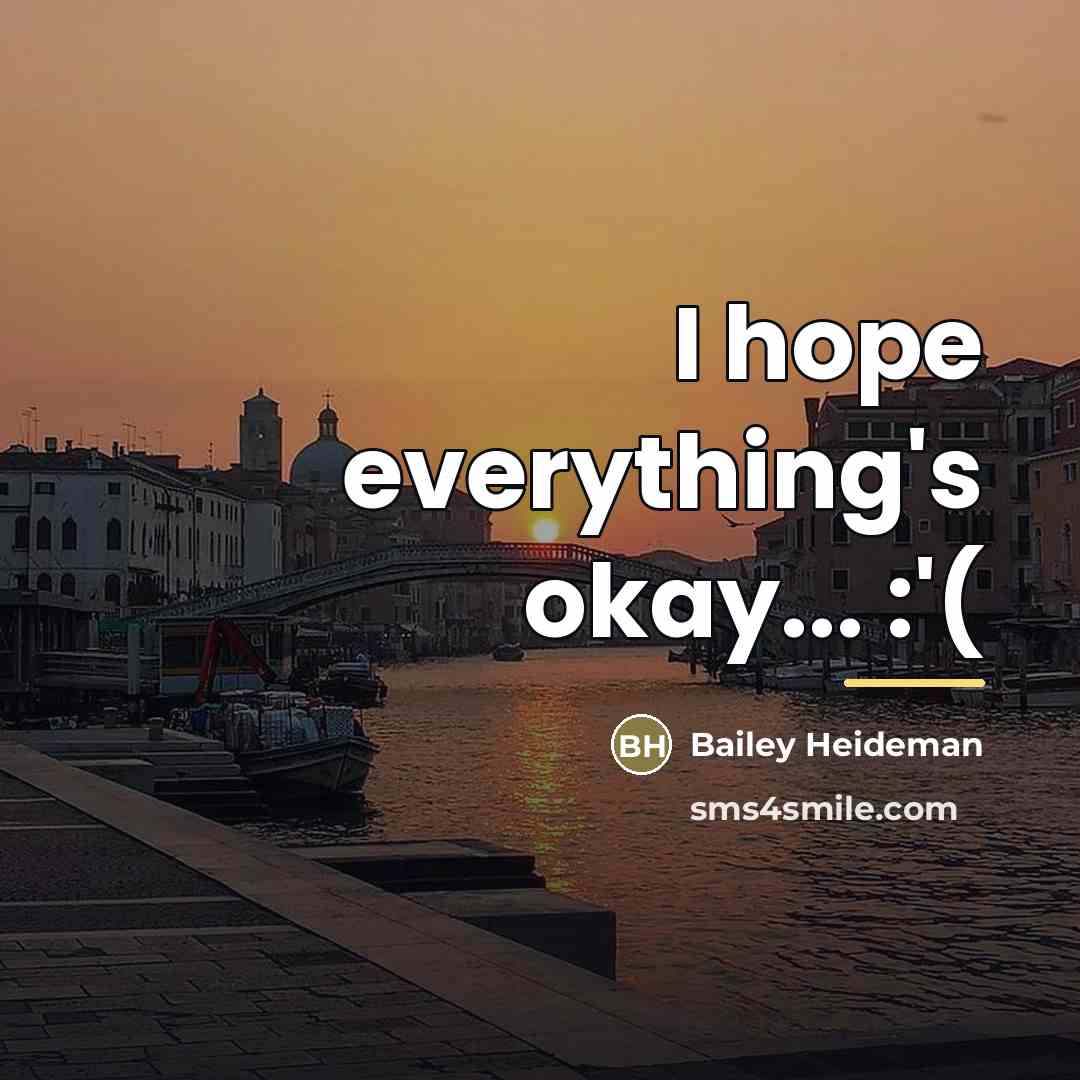 “I hope everything's okay... :'(…” quote by Bailey Heideman