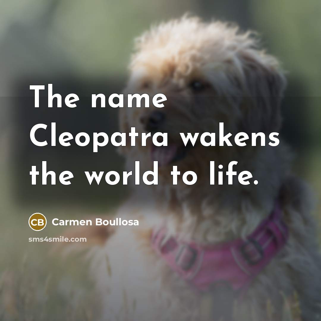 “The name Cleopatra wakens the world to life.…” quote by Carmen Boullosa