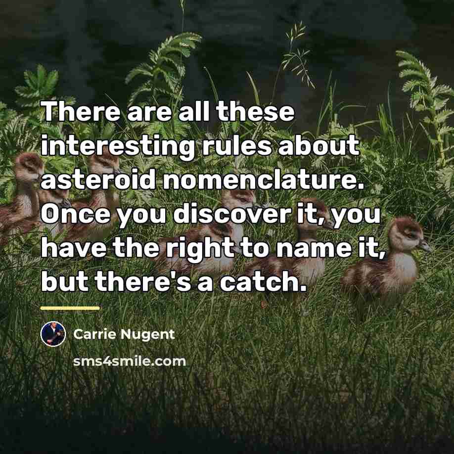 “There are all these interesting rules about asteroid nomenclature. Once…” quote by Carrie Nugent