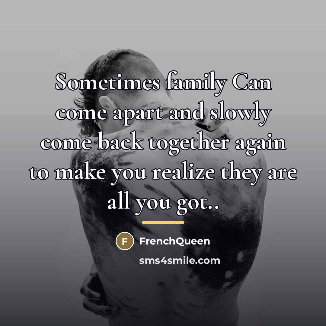 “Sometimes family Can come apart and slowly come back together…” quote by FrenchQueen