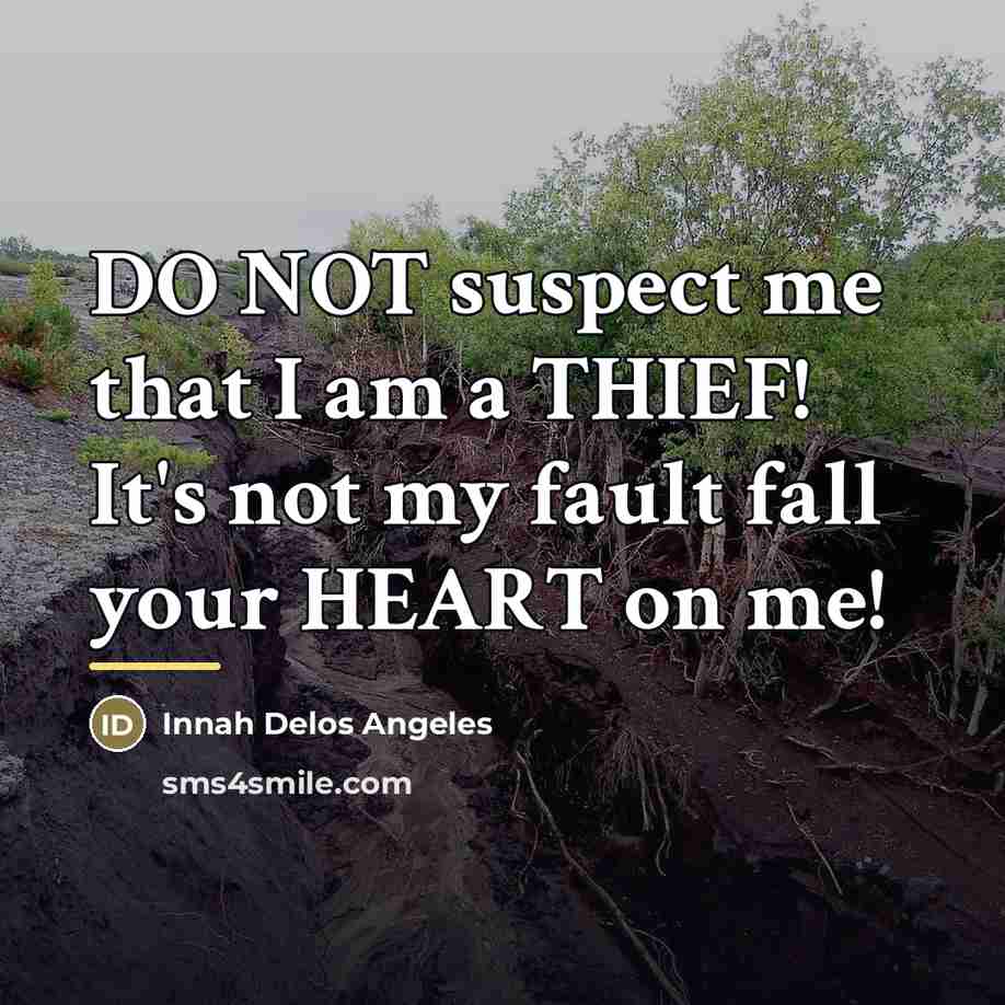 “DO NOT suspect me that I am a THIEF! It's…” quote by Innah Delos Angeles