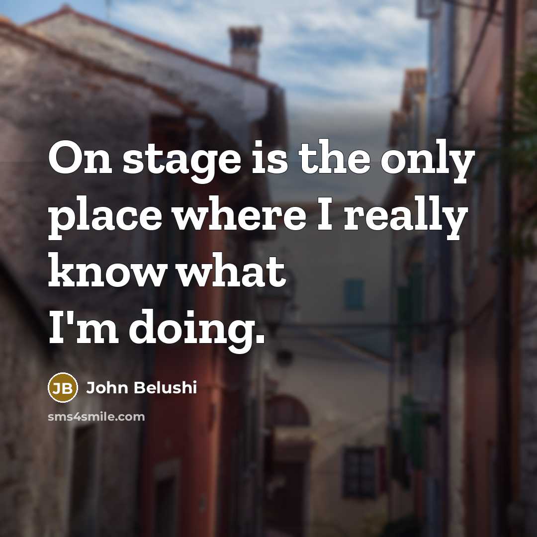 “On stage is the only place where I really know…” quote by John Belushi