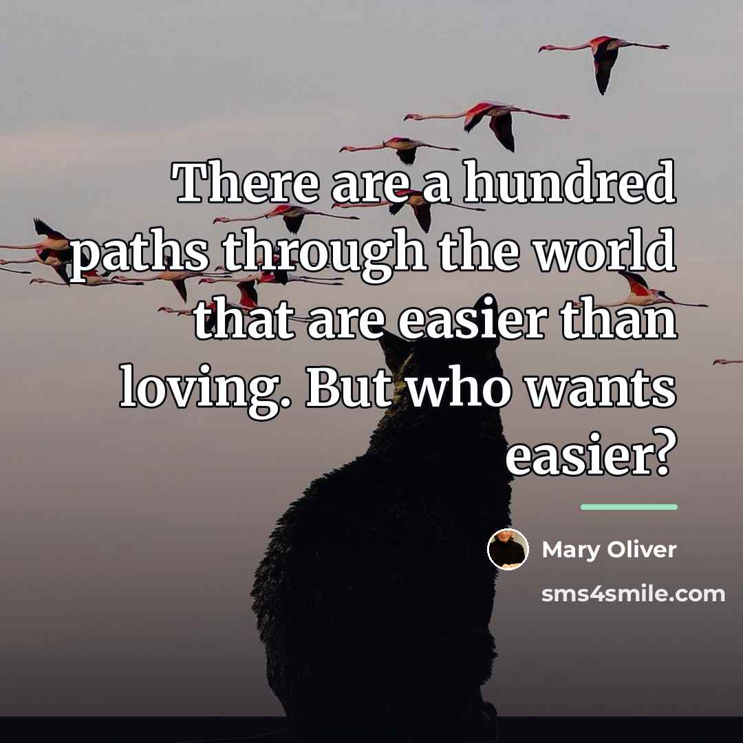 “There are a hundred paths through the world that are…” quote by Mary Oliver