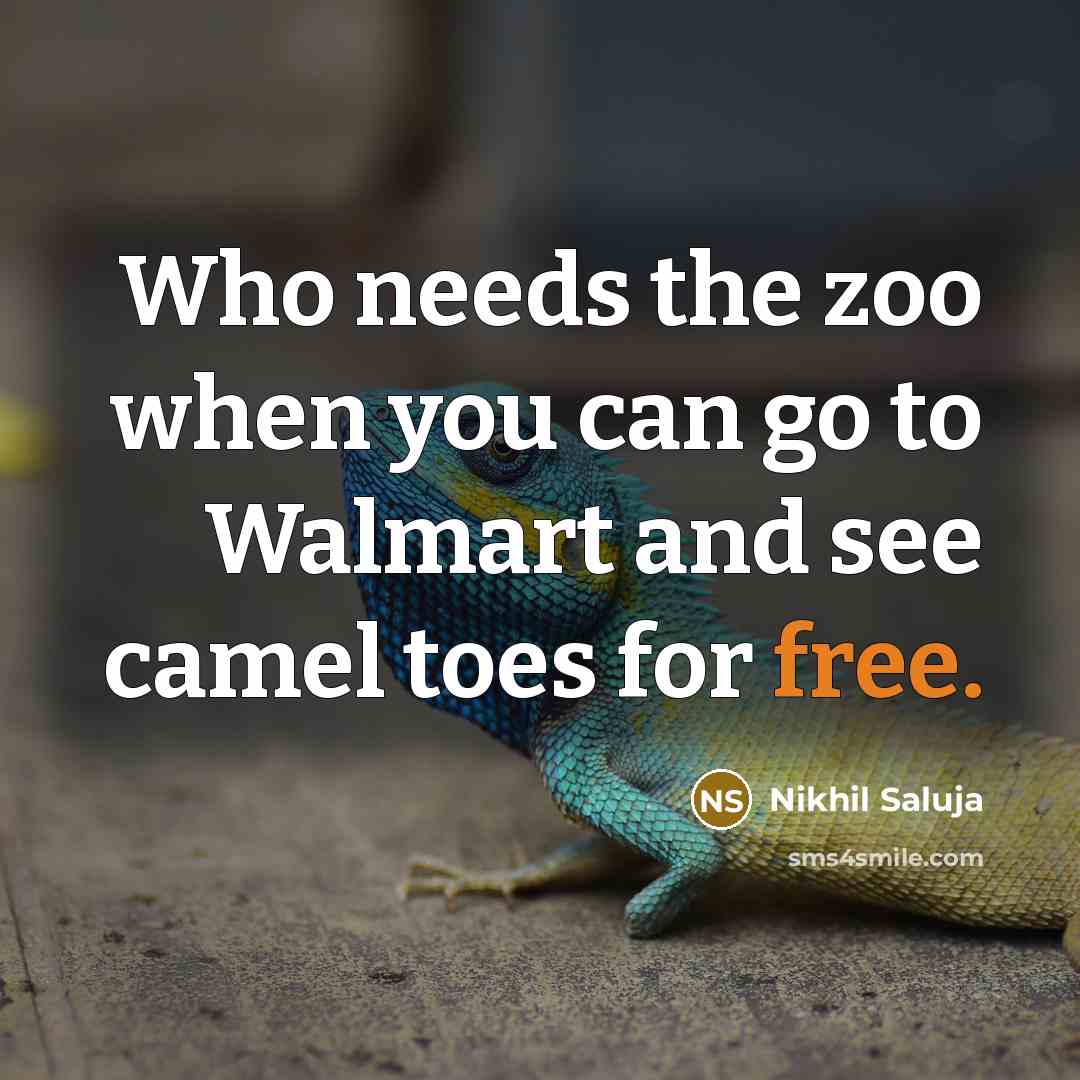 “Who needs the zoo when you can go to Walmart and see camel toes for free.” quote by Nikhil Saluja