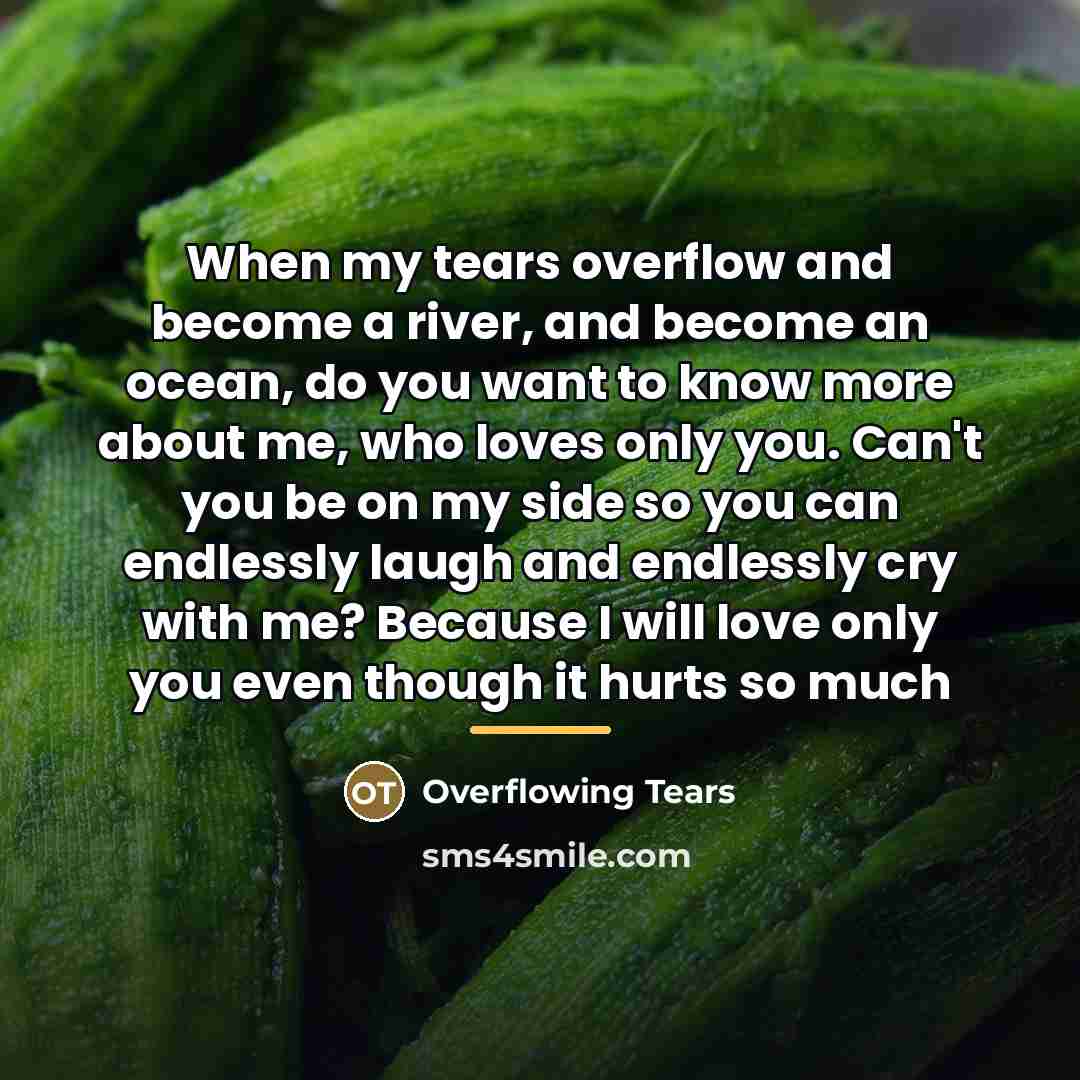 “When my tears overflow and become a river, and become…” quote by Overflowing Tears