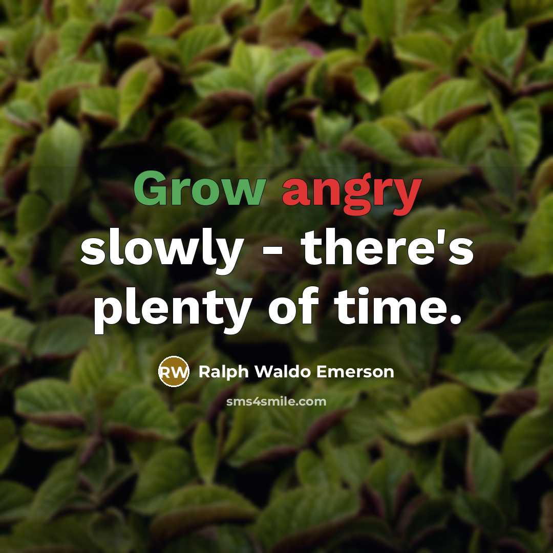 “Grow angry slowly - there's plenty of time.…” quote by Ralph Waldo Emerson