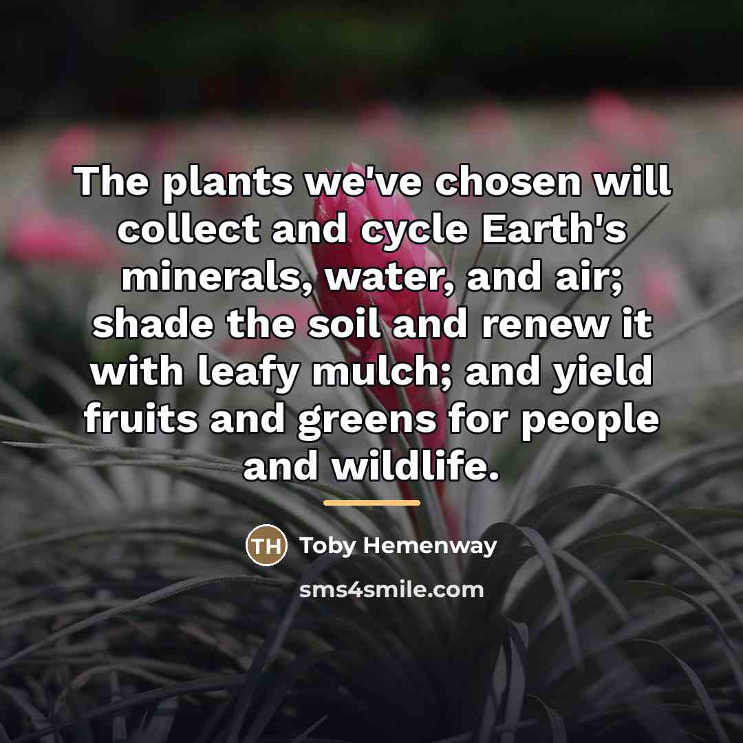 “The plants we've chosen will collect and cycle Earth's minerals,…” quote by Toby Hemenway