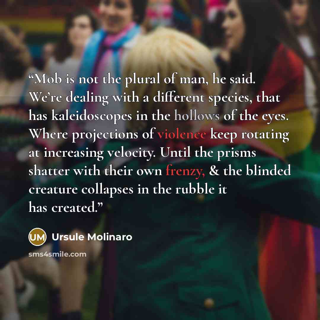 “Mob is not the plural of man, he said. We’re dealing with a different species, that has kaleidoscopes in the hollows of the eyes. Where projections of violence keep rotating at increasing velocity. Until the prisms shatter with their own frenzy, & the blinded creature collapses in the rubble it…” quote by Ursule Molinaro
