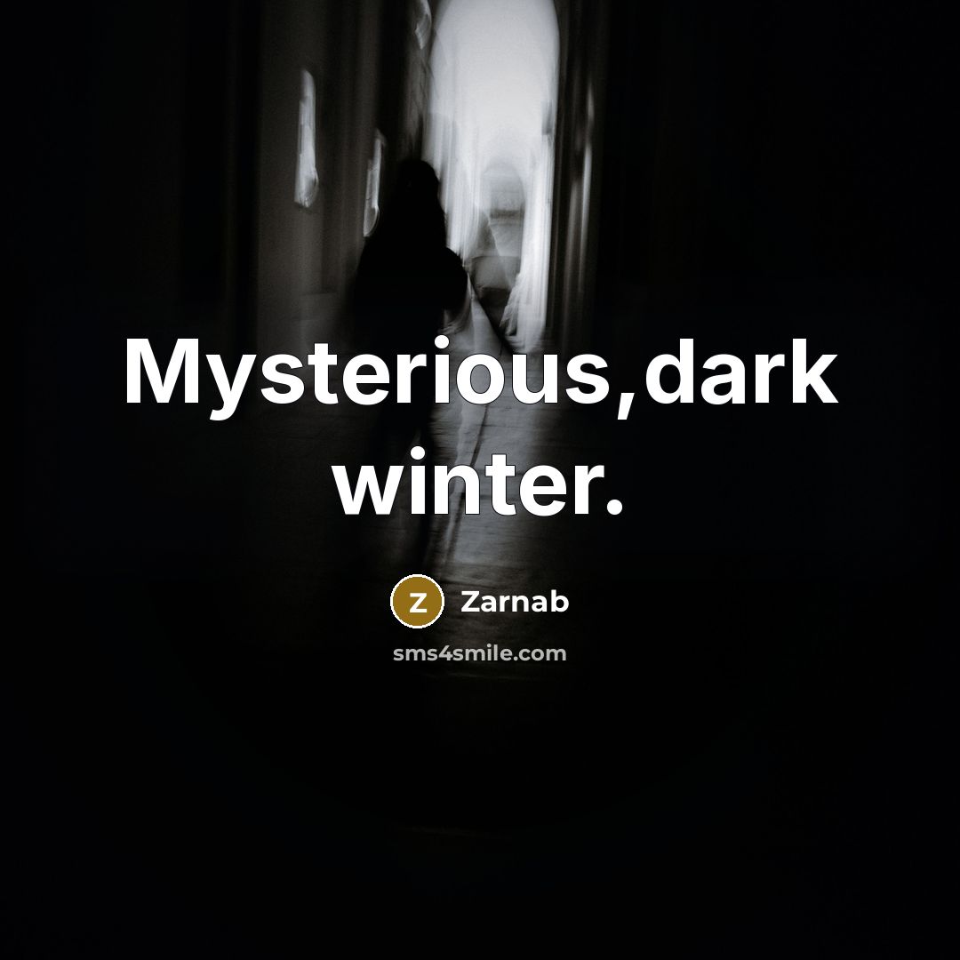 “Mysterious,dark winter.…” quote by Zarnab