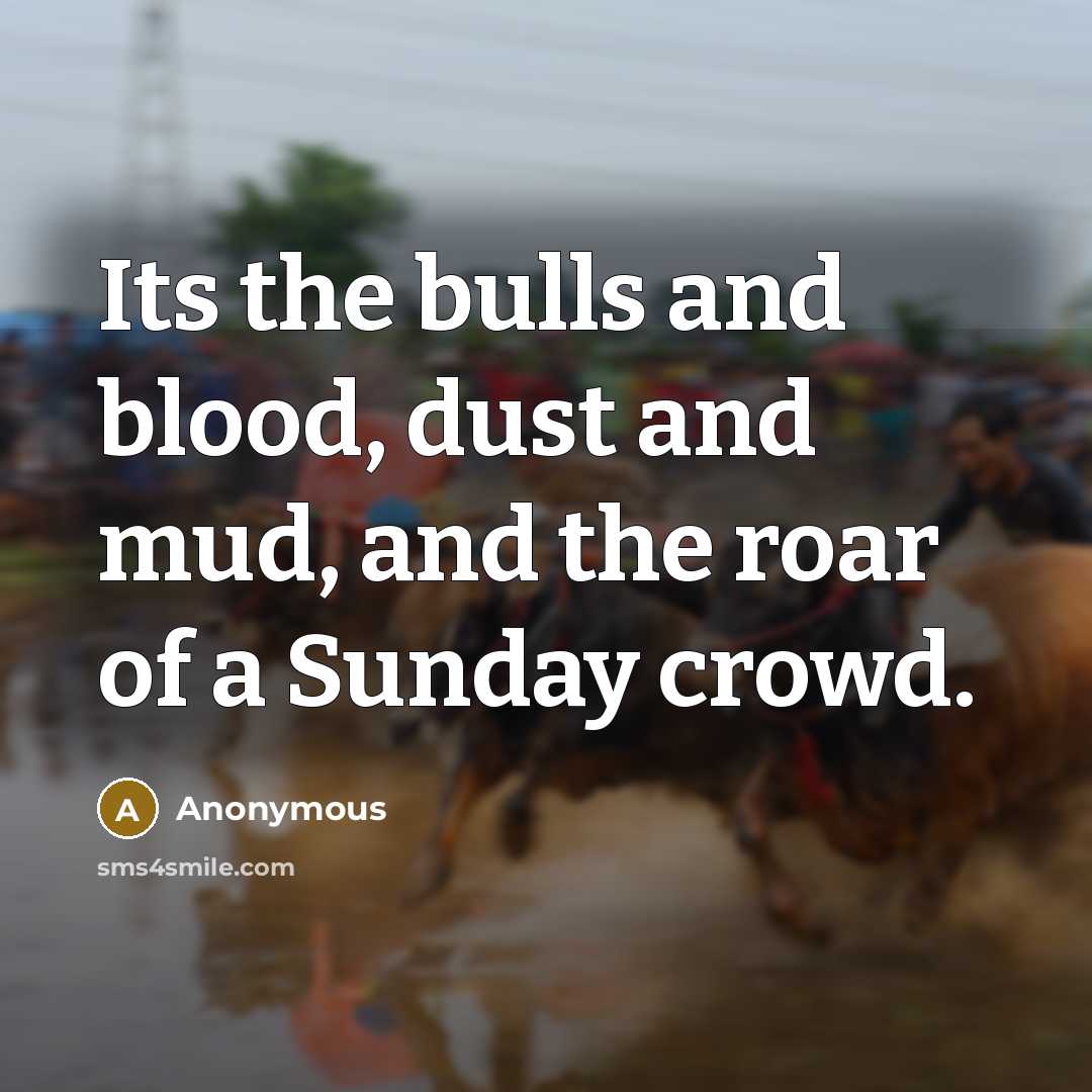 “Its the bulls and blood, dust and mud, and the roar of a Sunday crowd.” quote by Anonymous
