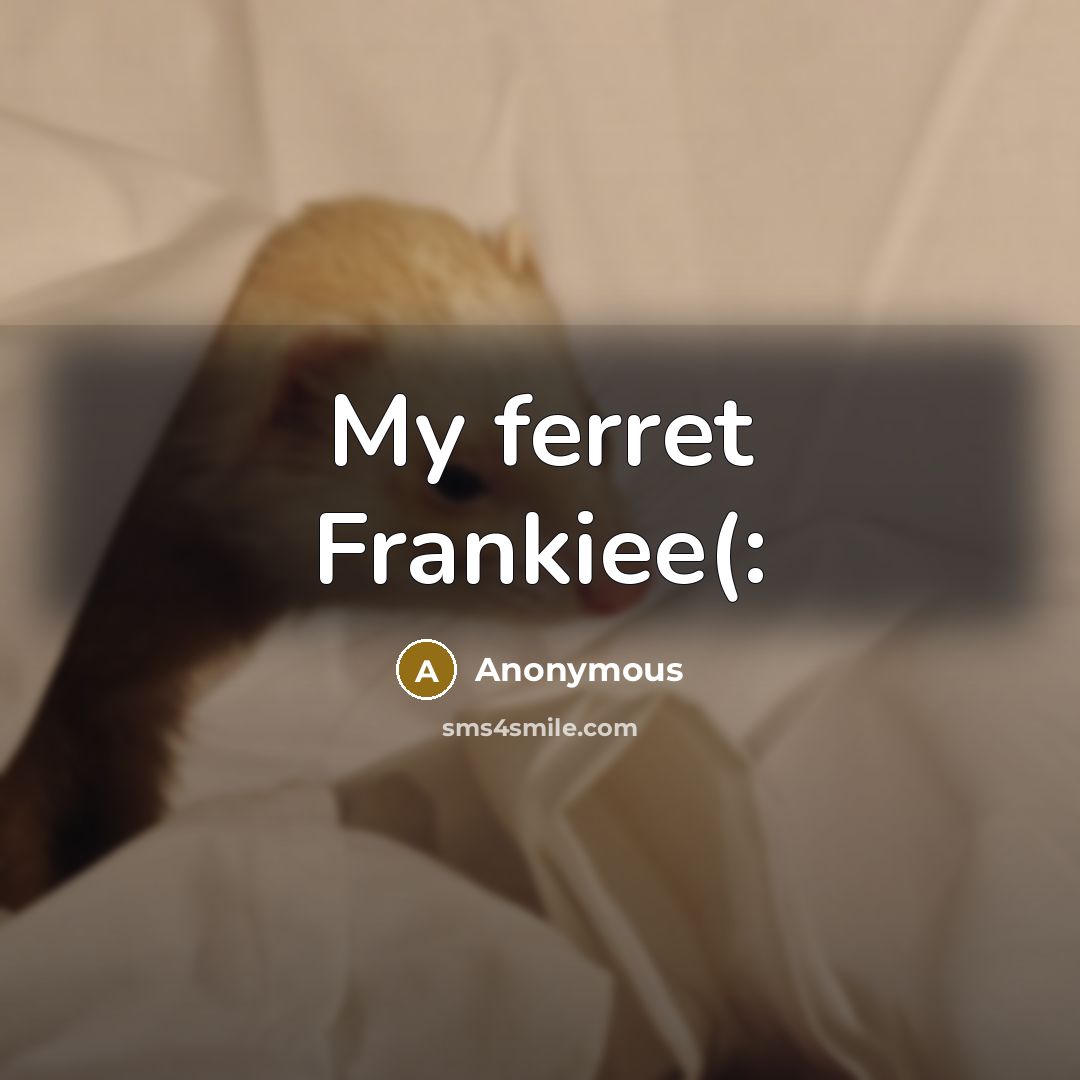 “My ferret Frankiee(:” quote by Anonymous