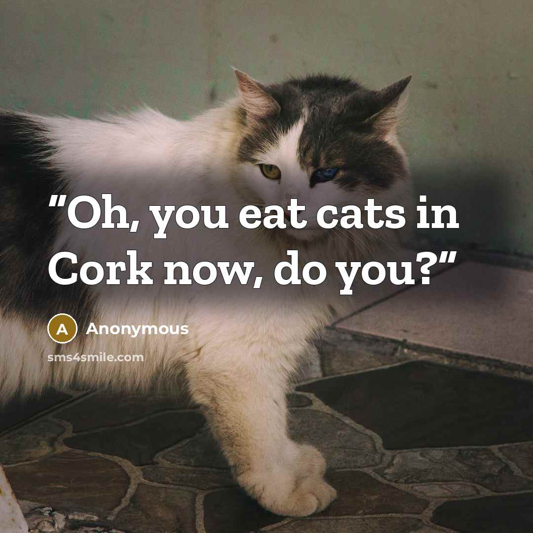 “Oh, you eat cats in Cork now, do you?” quote by Anonymous