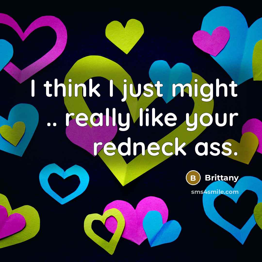 “I think I just might .. really like your redneck…” quote by Brittany