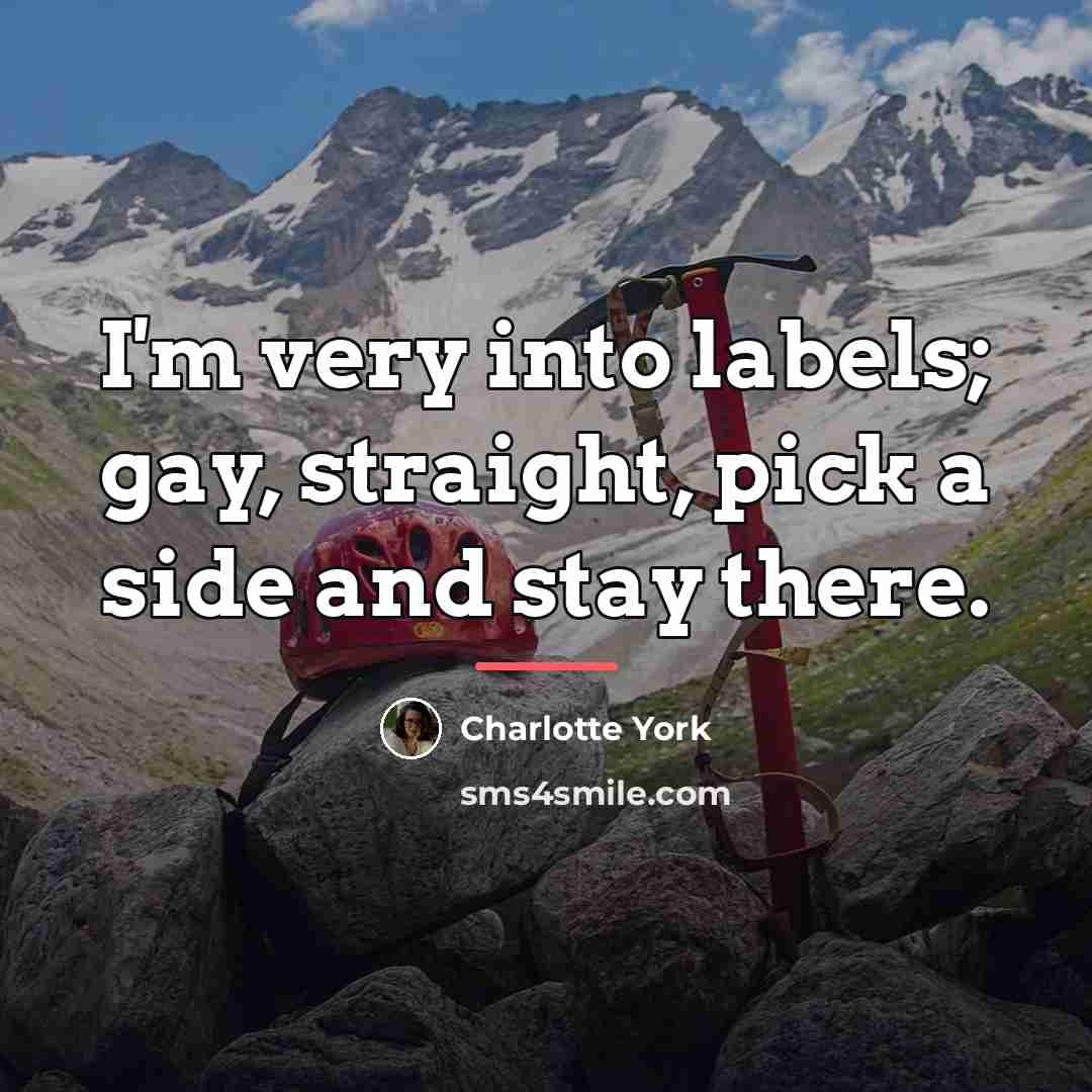 “I'm very into labels; gay, straight, pick a side and…” quote by Charlotte York
