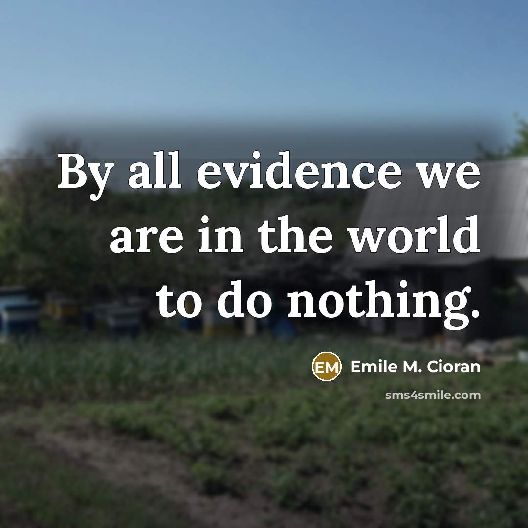 “By all evidence we are in the world to do…” quote by Emile M. Cioran