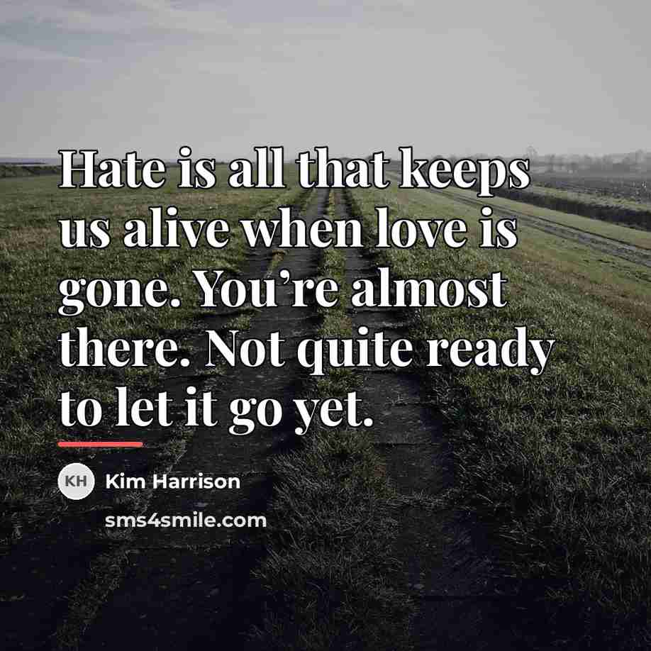 “Hate is all that keeps us alive when love is…” quote by Kim Harrison
