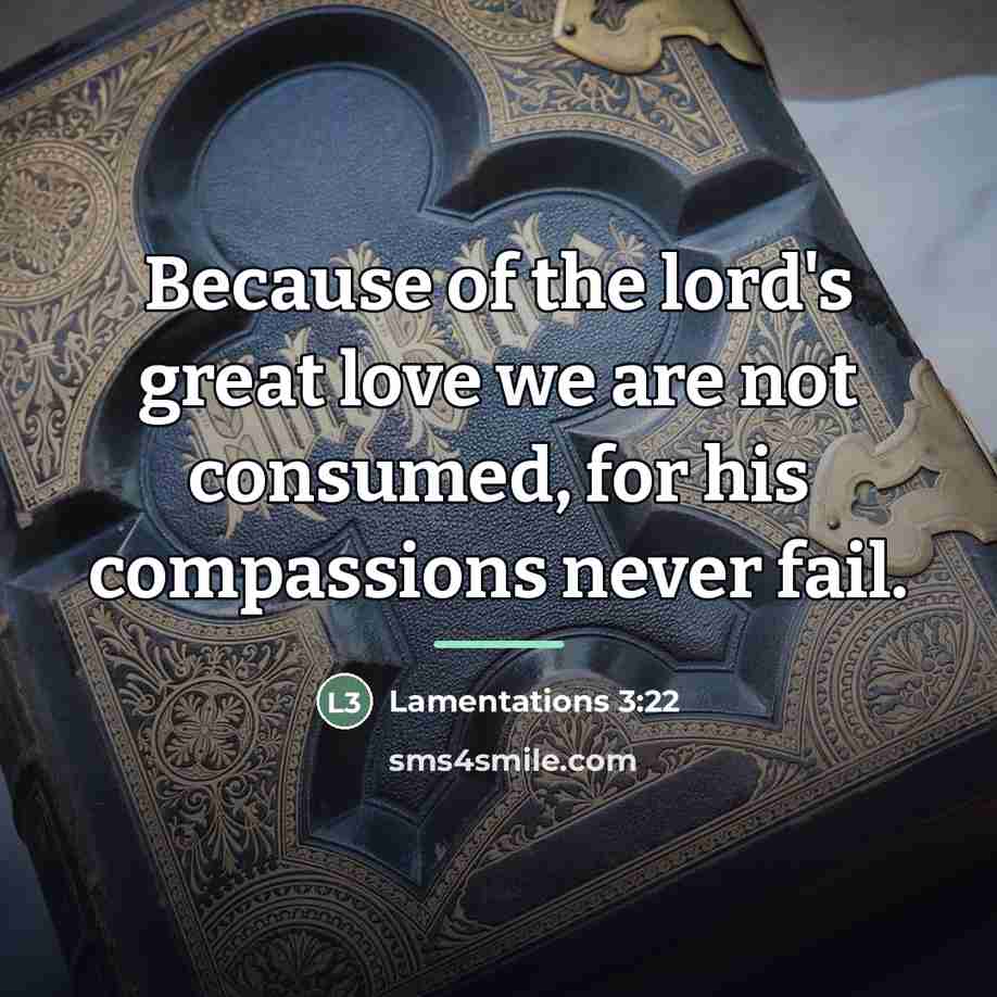 “Because of the lord's great love we are not consumed,…” quote by Lamentations 3:22