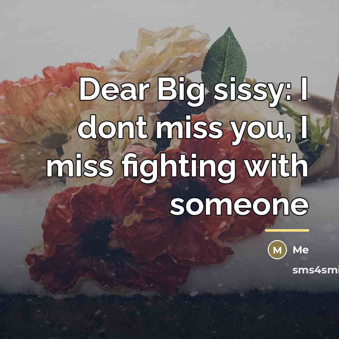 “Dear Big sissy: I dont miss you, I miss fighting…” quote by Me