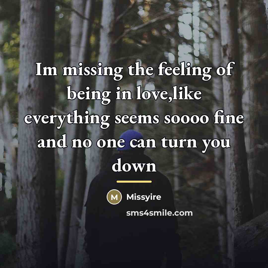 “Im missing the feeling of being in love,like everything seems…” quote by Missyire