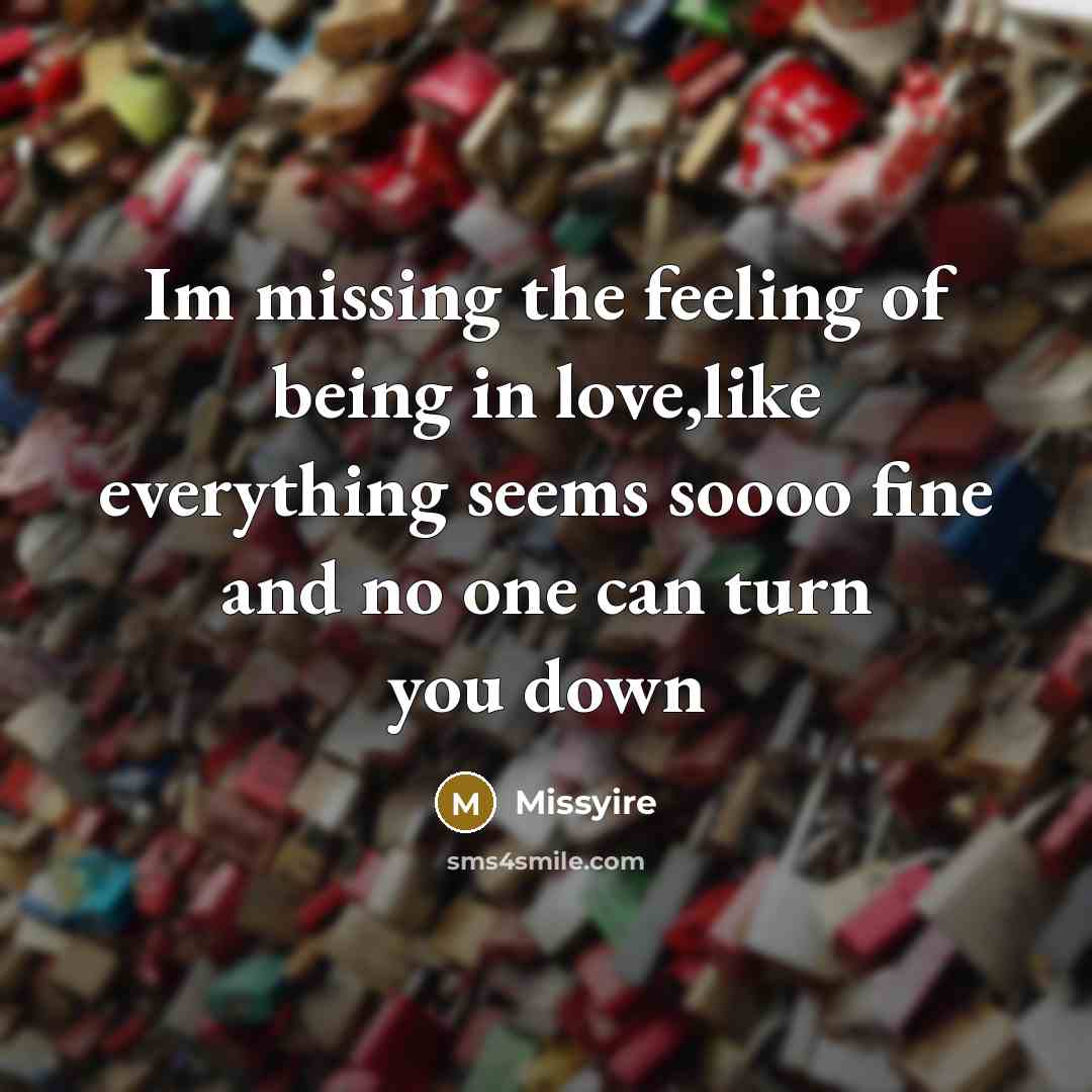 “Im missing the feeling of being in love,like everything seems soooo fine and no one can turn you down” quote by Missyire