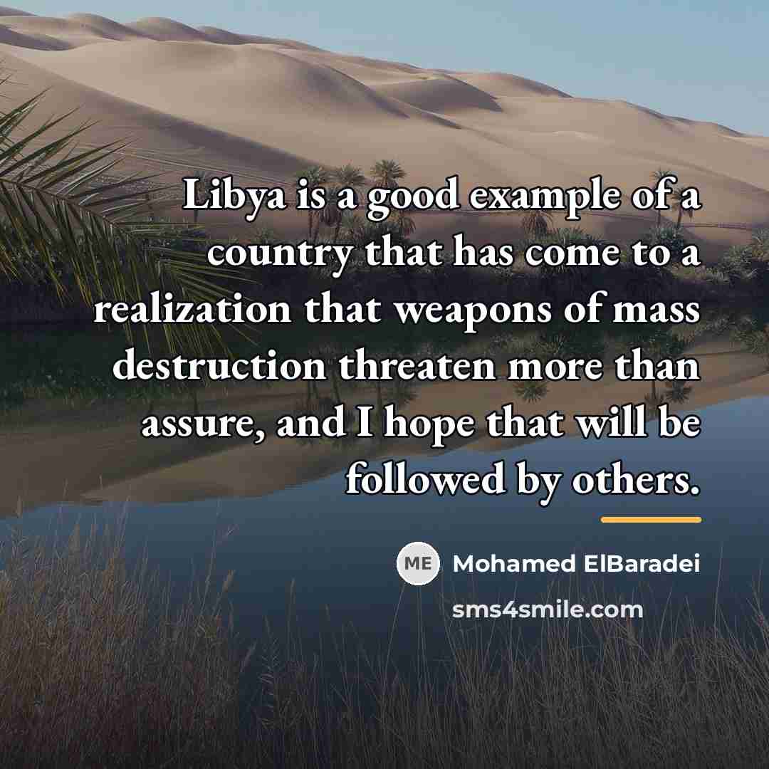 “Libya is a good example of a country that has…” quote by Mohamed ElBaradei