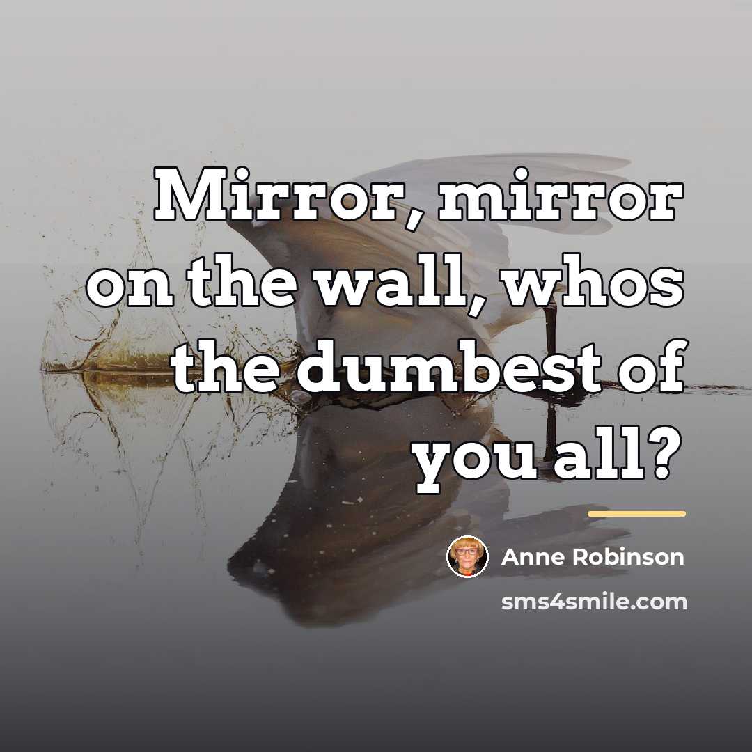 “Mirror, mirror on the wall, whos the dumbest of you…” quote by Anne Robinson