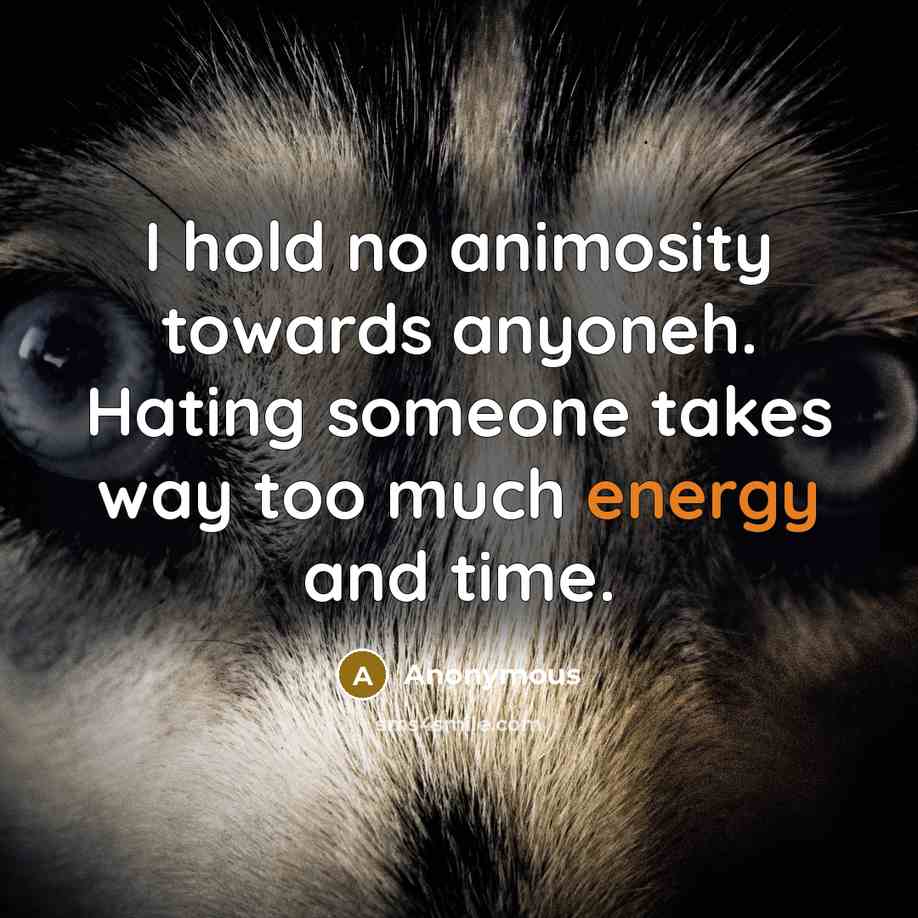 “I hold no animosity towards anyoneh. Hating someone takes way too much energy and time.” quote by Anonymous