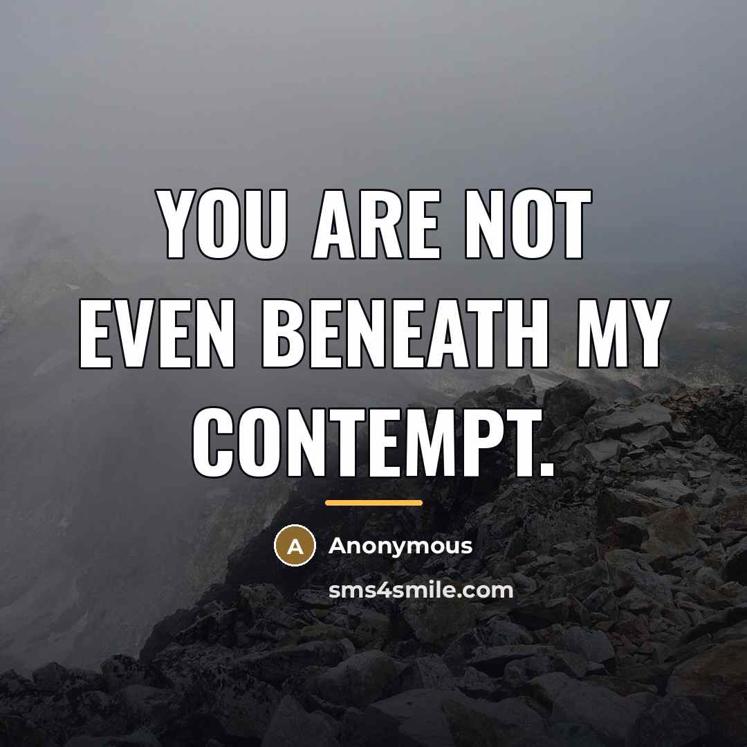 “You are not even beneath my contempt.…” quote by Anonymous