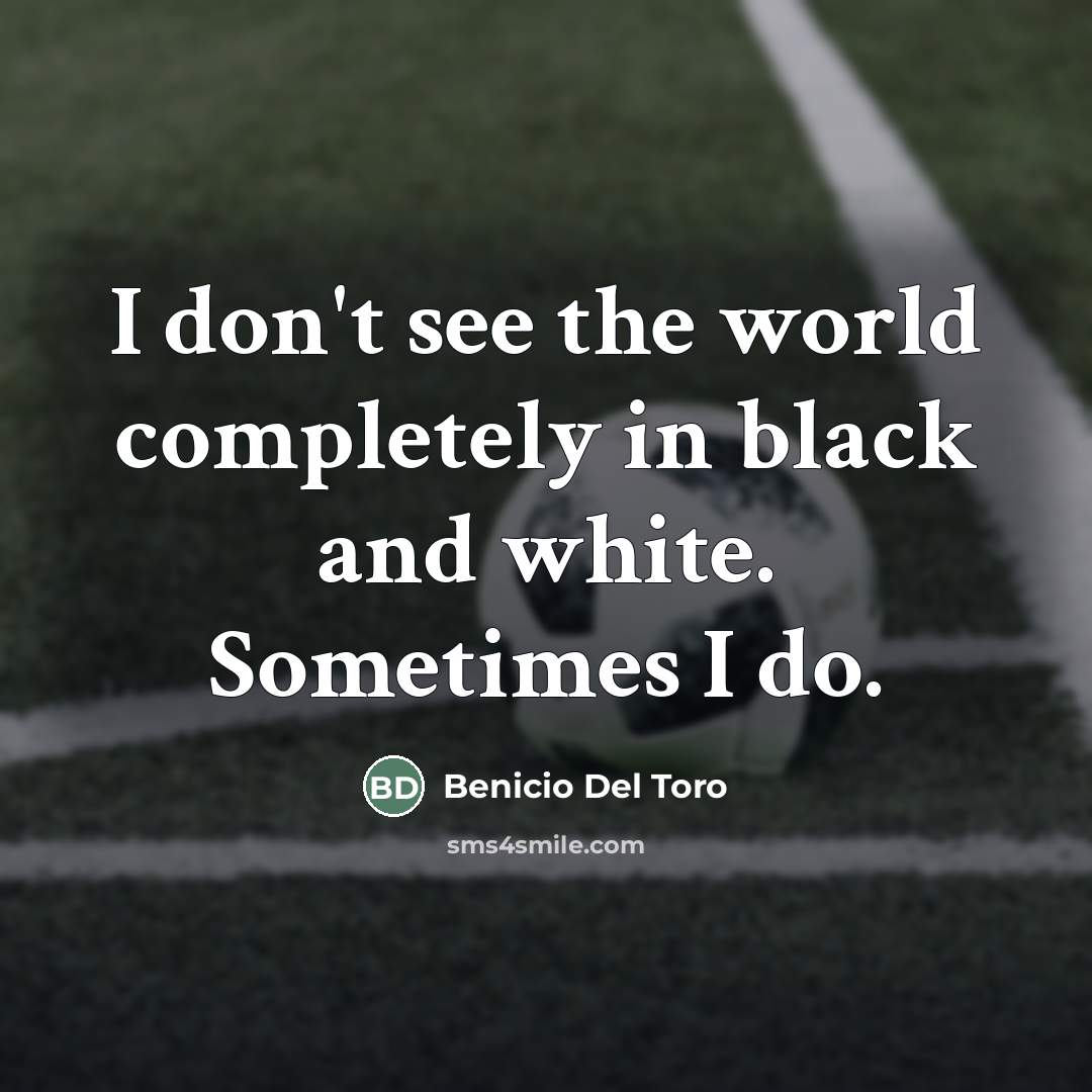 “I don't see the world completely in black and white.…” quote by Benicio Del Toro
