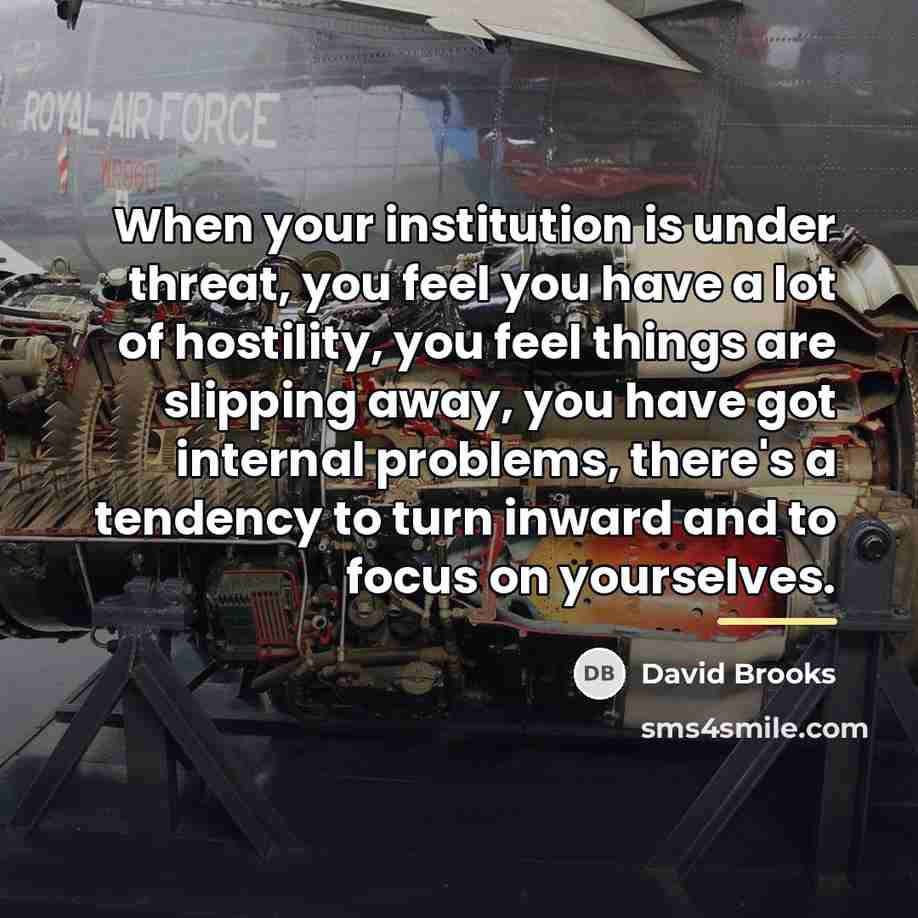 “When your institution is under threat, you feel you have…” quote by David Brooks