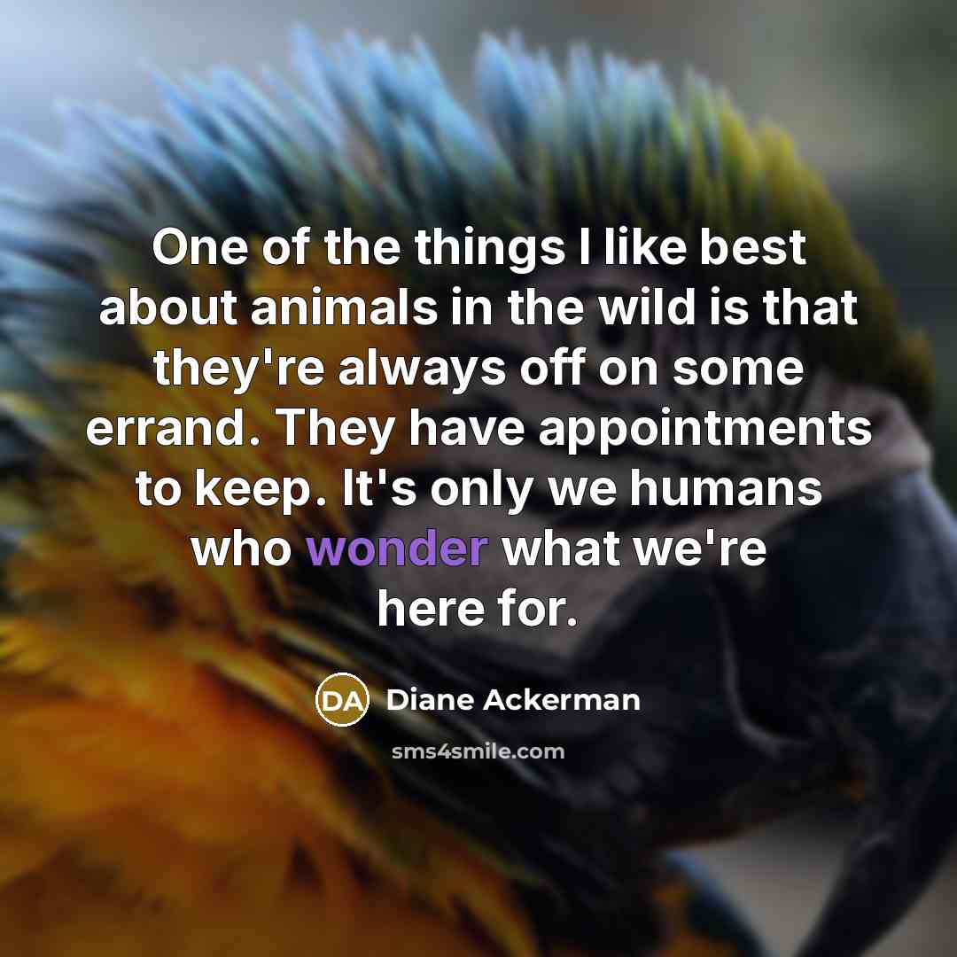 “One of the things I like best about animals in…” quote by Diane Ackerman