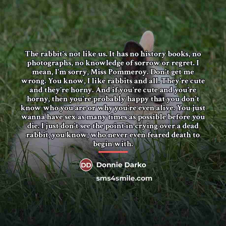 “The rabbit's not like us. It has no history books,…” quote by Donnie Darko
