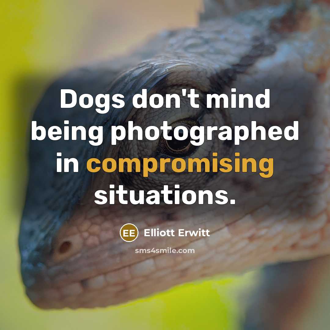 “Dogs don't mind being photographed in compromising situations.” quote by Elliott Erwitt