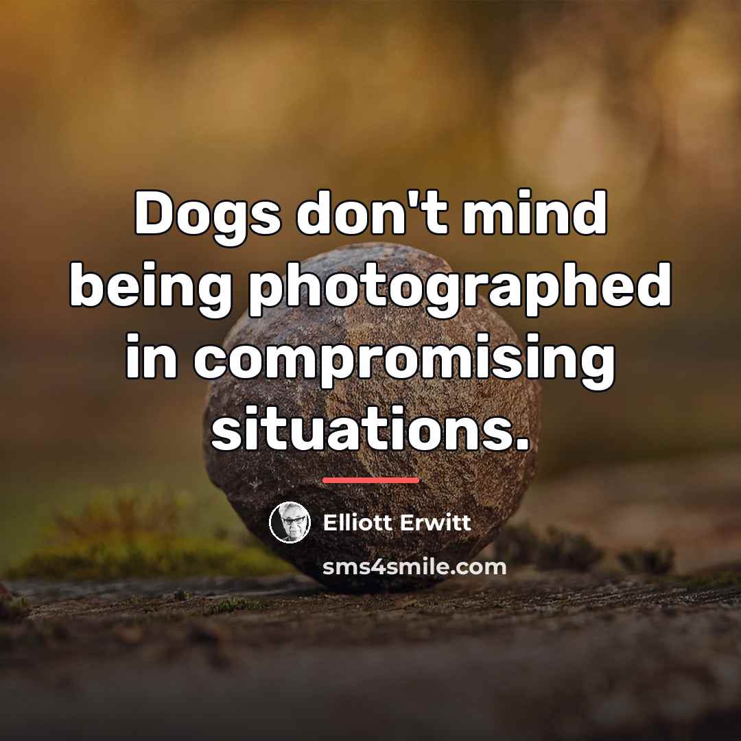 “Dogs don't mind being photographed in compromising situations.…” quote by Elliott Erwitt
